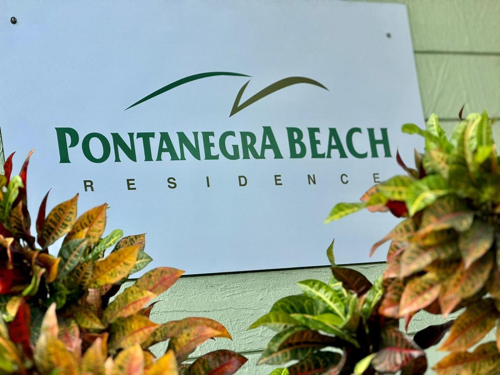 נטאל Edy Hospedagens Beira-Mar Flat 310 Com Vista Para O Morro Do Careca, Piscina E Localizacao Privilegiada מראה חיצוני תמונה